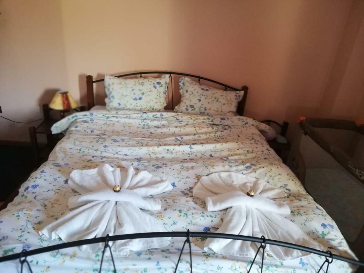 באצ'קובו Ambrozia Spa And Relax Family House מראה חיצוני תמונה