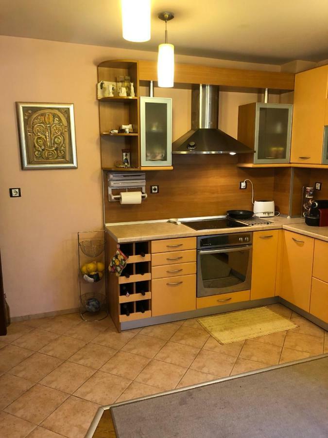 באצ'קובו Ambrozia Spa And Relax Family House מראה חיצוני תמונה