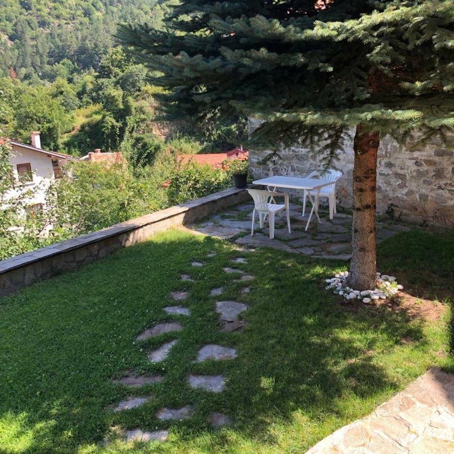 באצ'קובו Ambrozia Spa And Relax Family House מראה חיצוני תמונה