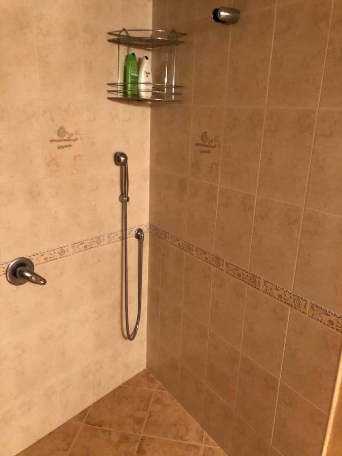 באצ'קובו Ambrozia Spa And Relax Family House מראה חיצוני תמונה