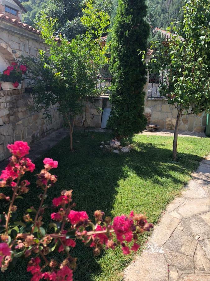 באצ'קובו Ambrozia Spa And Relax Family House מראה חיצוני תמונה