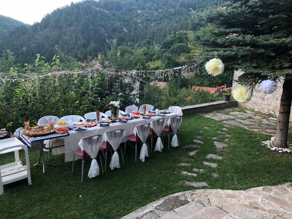 באצ'קובו Ambrozia Spa And Relax Family House מראה חיצוני תמונה