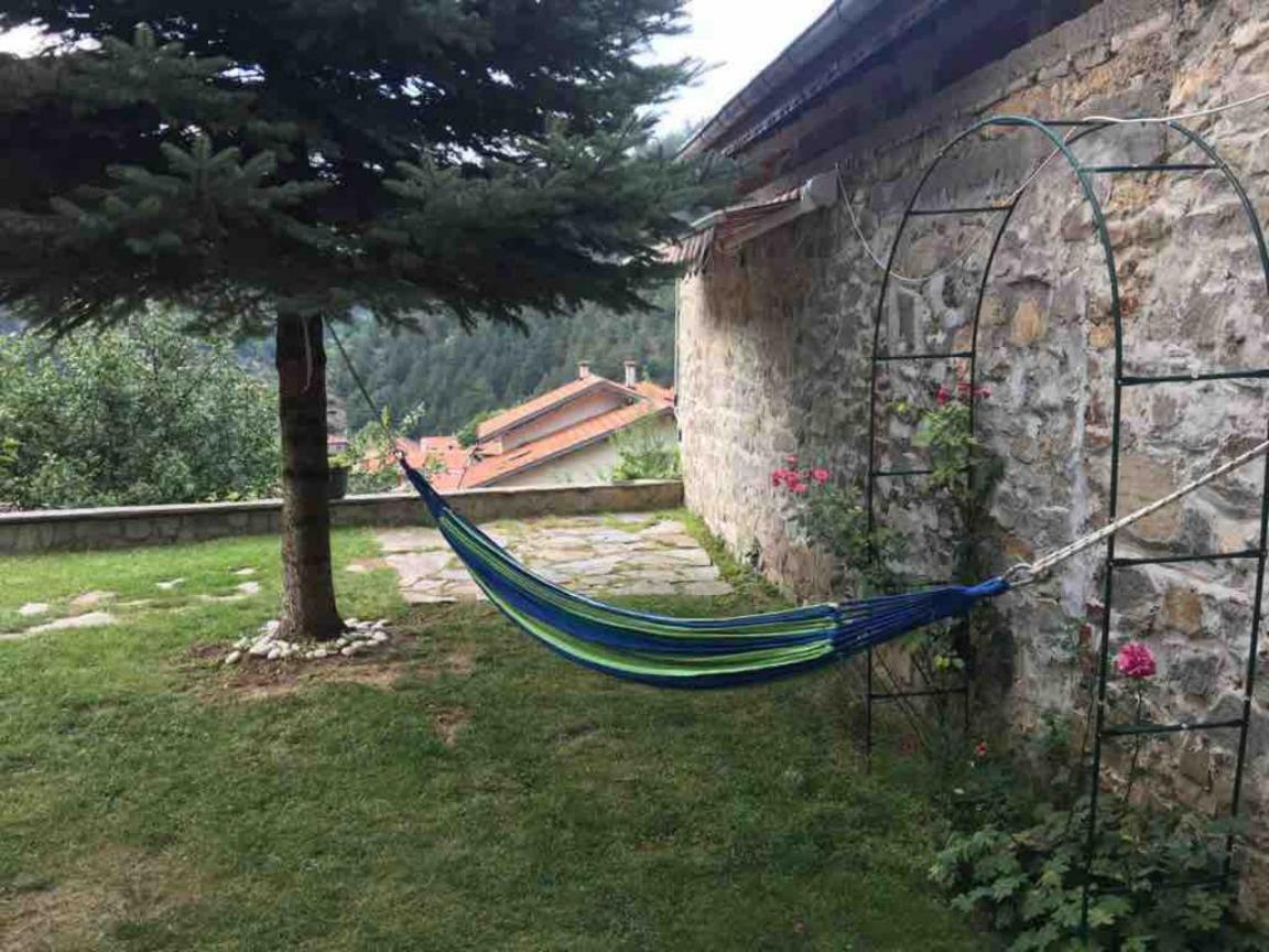 באצ'קובו Ambrozia Spa And Relax Family House מראה חיצוני תמונה