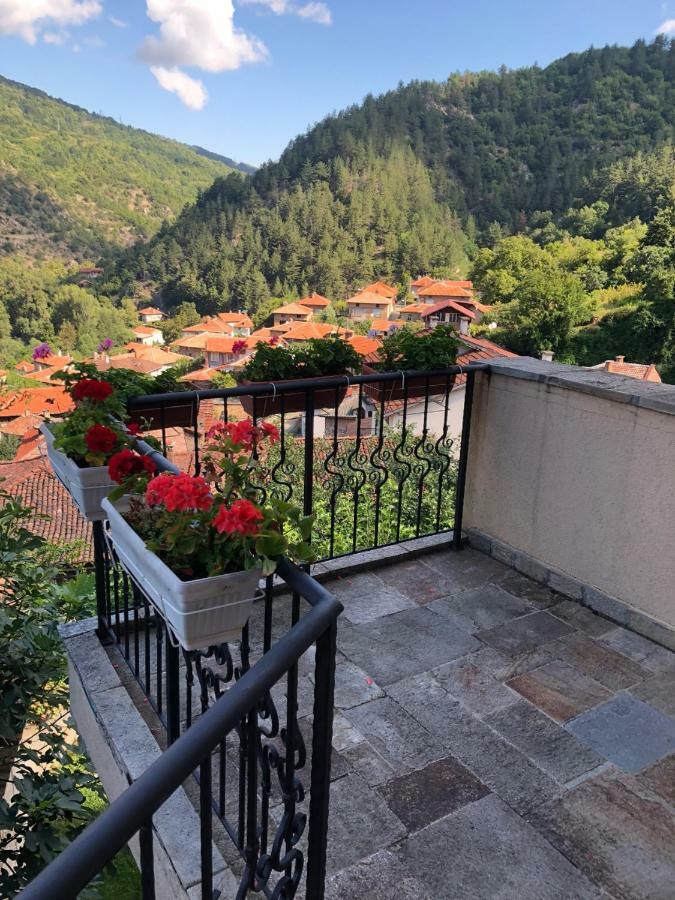 באצ'קובו Ambrozia Spa And Relax Family House מראה חיצוני תמונה